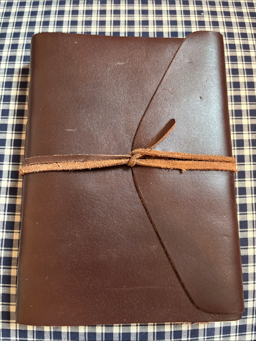 Barnes & Noble Dark Brown Leather Wrap Journal